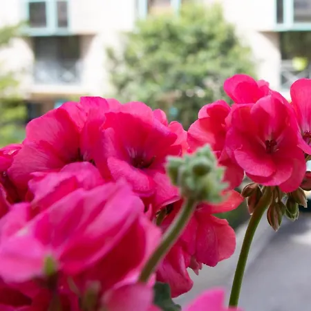Lägenhet Luxury Apartment Nice Center Beach 3 Min Walk , Free Parking Nice
